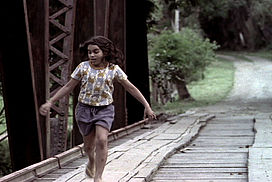 still / picture for Dez Elefantes