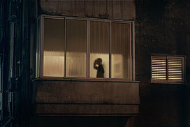 still / picture for Shadow Puppets