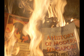 still / picture for Snakeskin