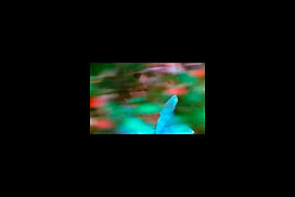 still / picture for Body Snatcher