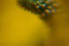 still / picture for Body Snatcher