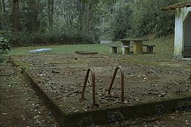 still / picture for The Good Behaviour