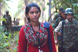 still / picture for Newton