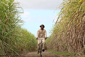 still / picture for Blackbird (short Film)