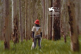 still / picture for Meninas Formicida