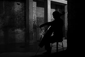 still / picture for Soma & Lil