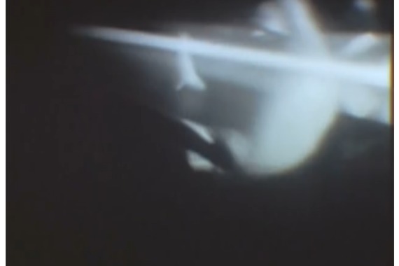 filmstill of The Big Fish Theory