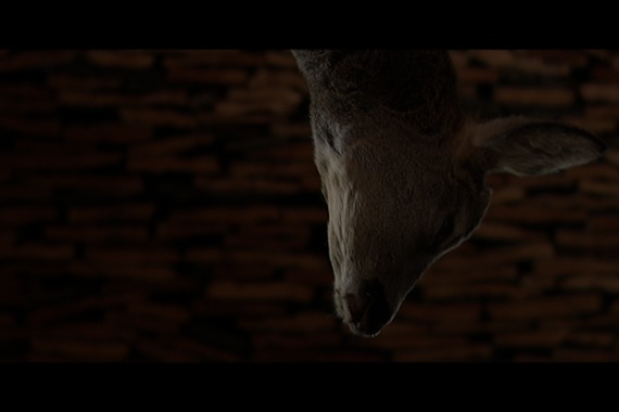 filmstill of Eiszeit
