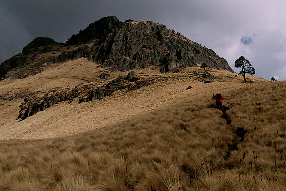 filmstill of The Second Life