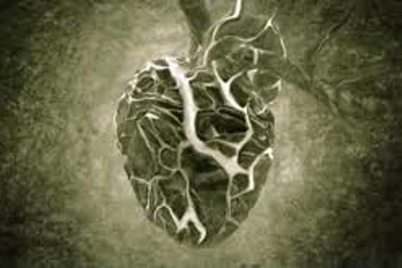 filmstill of The heart of Amos Klein