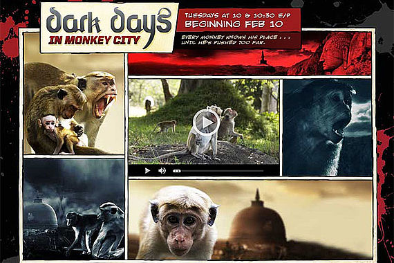 filmstill of Dark Days In Monkey City