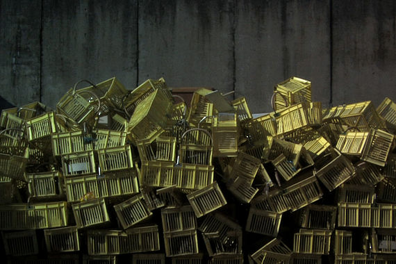 filmstill of Nach der Saison/After the Season