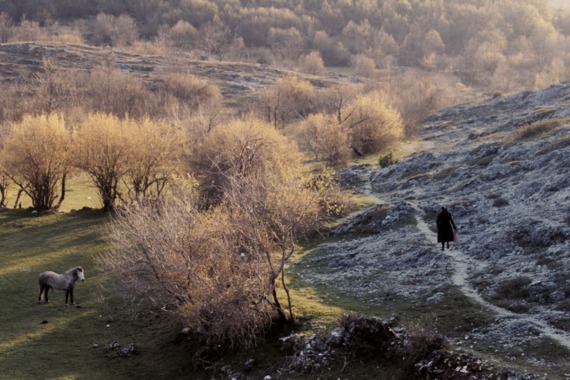 filmstill of Tranquility of Blood