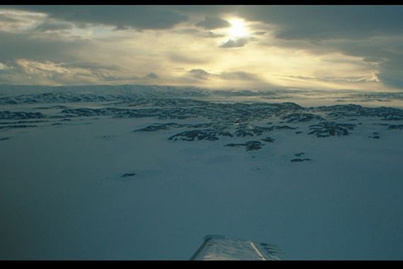 filmstill of The Grizzlies