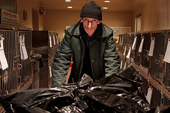filmstill of Animal Control