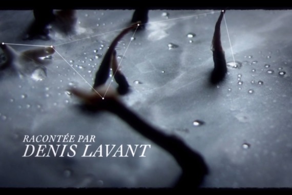 filmstill of La Nuit du Vivant