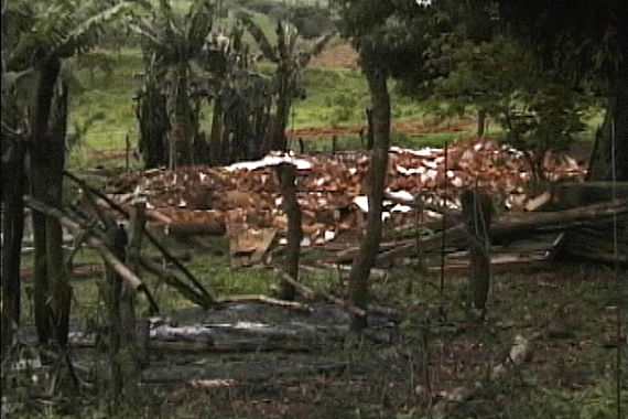 filmstill of PASSARIM 