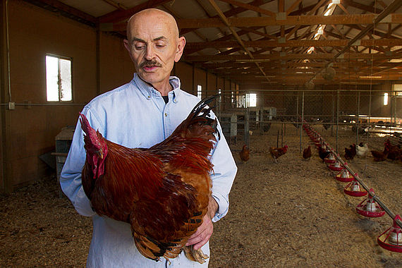 filmstill of EATING ANIMALS