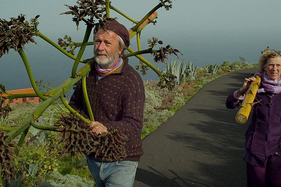 filmstill of Die Insel