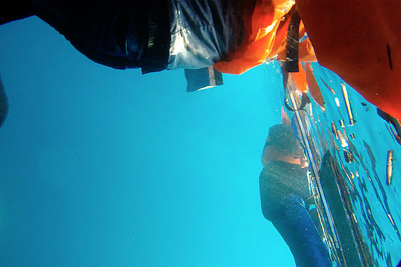 filmstill of Purple Sea