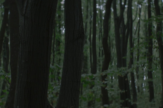 filmstill of Om-Câine