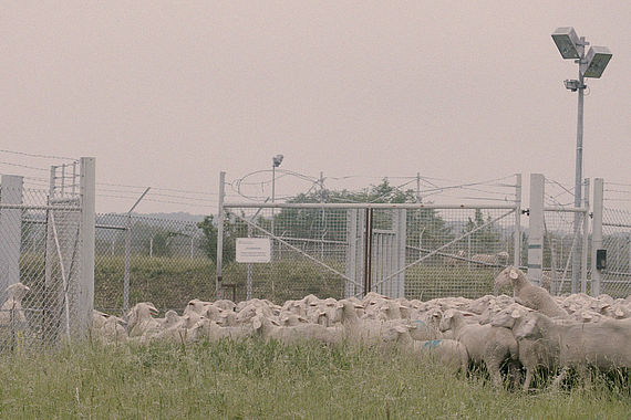 filmstill of Lagerkontinuität