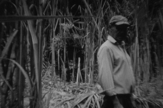 filmstill of Abrir Monte