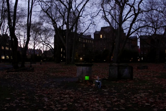 filmstill of Green Flash, Green Flesh