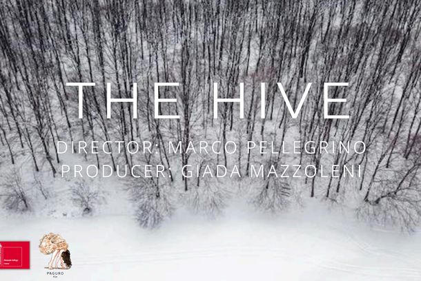 still / picture for THE HIVE