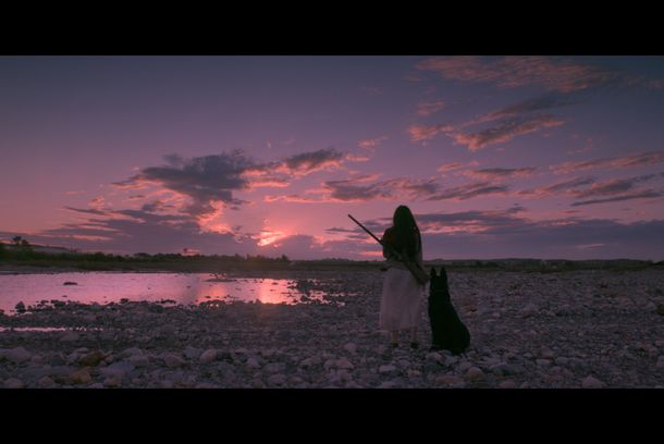 still / picture for Birdshot