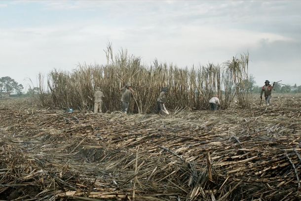 still / picture for La tierra y la sombra