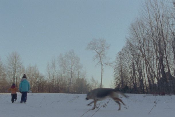 still / picture for Birch