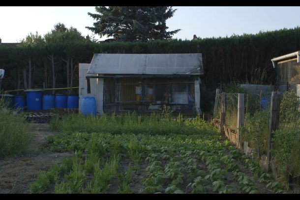 still / picture for The Garden of Mr. Vong