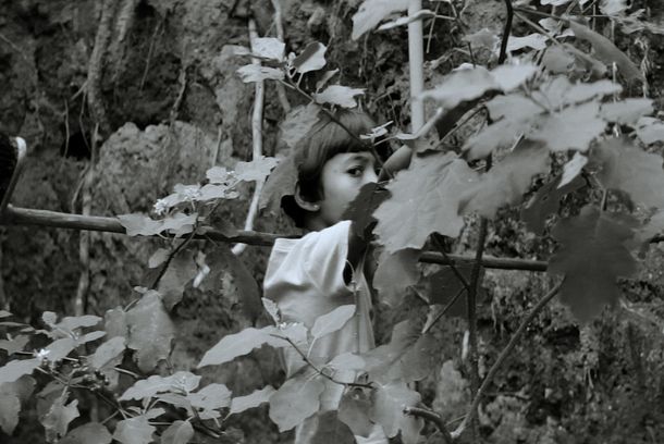 still / picture for Gimhanaye Netra