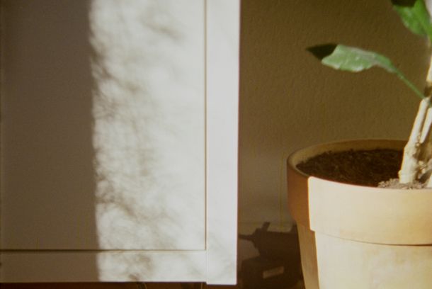 still / picture for A Wideness (WT)