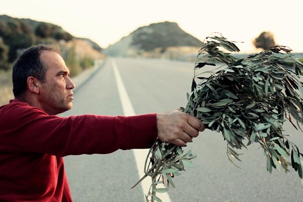 still / picture for The Olive Tree at the Border