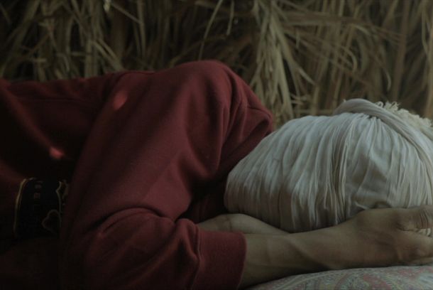 still / picture for Gniazdo