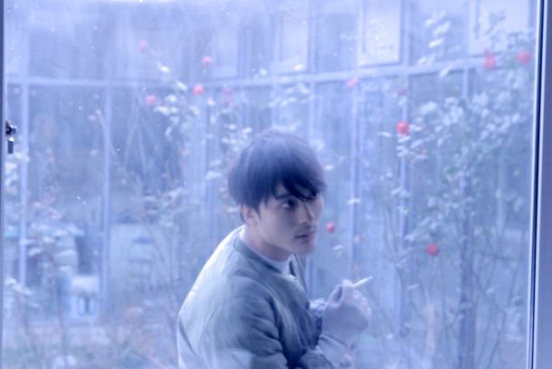 still / picture for Turtle
