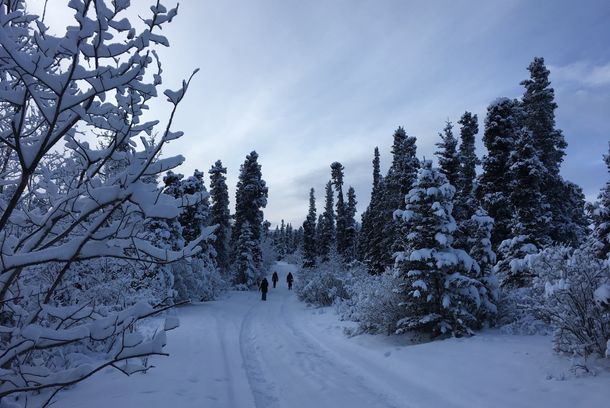 still / picture for Yukonstyle
