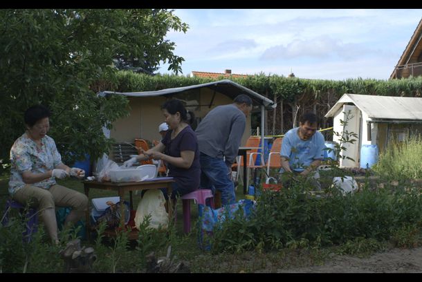 still / picture for The Garden of Mr. Vong