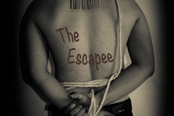 still / picture for The Escapee