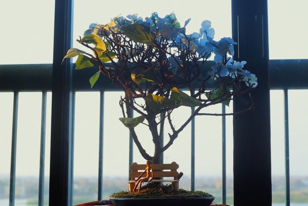still / picture for روح