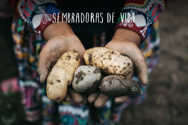 still / picture for Sembradoras de Vida
