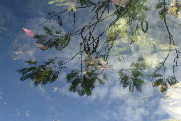 still / picture for REFLEXIONES
