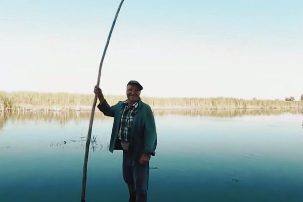 still / picture for The Wetland (VR)