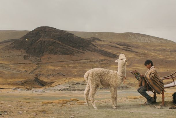 still / picture for Raíz