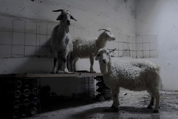 still / picture for Las apariencias