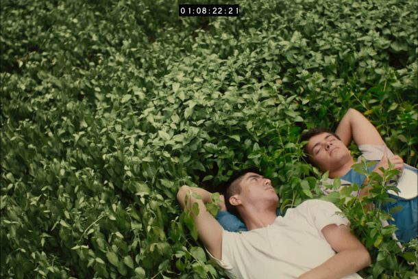 still / picture for Fervor
