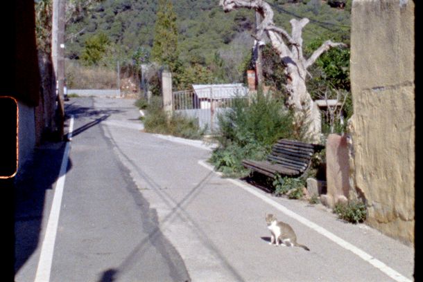still / picture for La ciutat a la vora