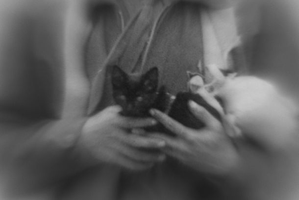 still / picture for El Gato